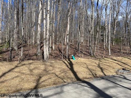 Lot 30 Woodland Dr, Beverly, WV, 26253-9711 | Card Image