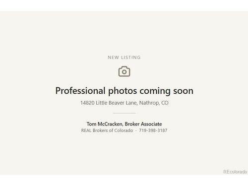 14820 Little Beaver Ln, Nathrop, CO, 81236-9711 | Card Image