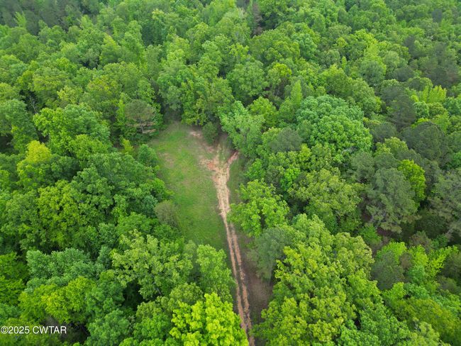 0 Buggy Branch Ln, Home with 0 bedrooms, 0 bathrooms and null parking in Cedar Grove TN | Image 17