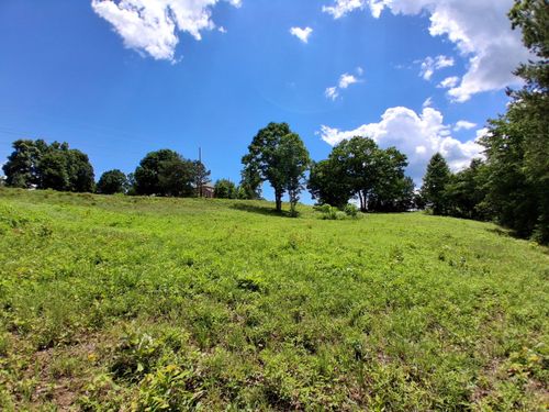 336 Woodstock Dr, Rutledge, TN, 37861-5948 | Card Image