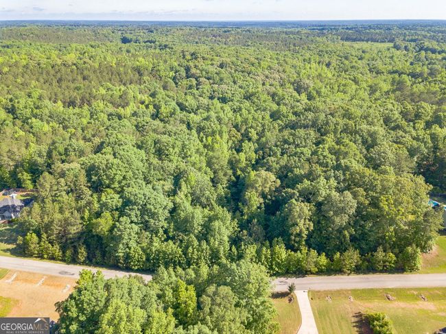 LOT-131 - 0 Hunter Welch Pkwy, Home with 0 bedrooms, 0 bathrooms and null parking in Luthersville GA | Image 10