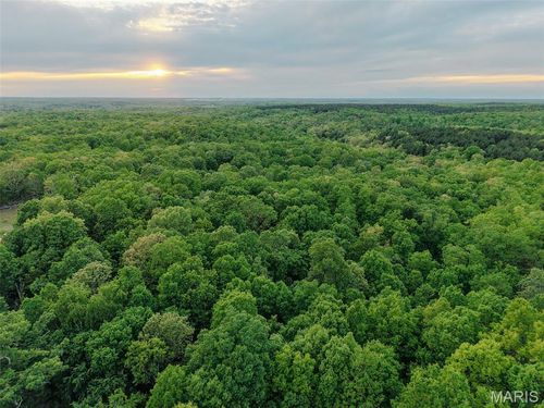 65 Acres+- E Highway 32, Salem, MO, 65560 | Card Image