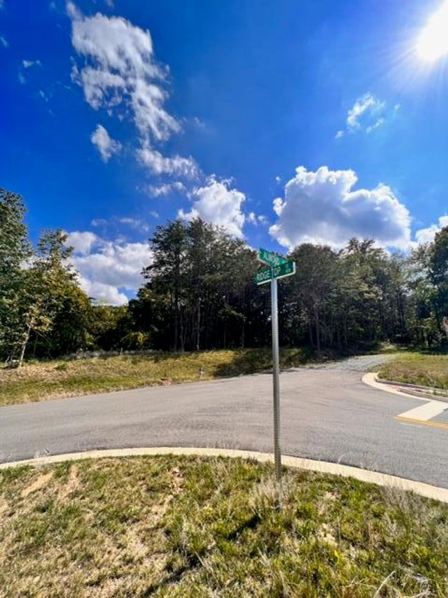 Elmview Land | Image 25