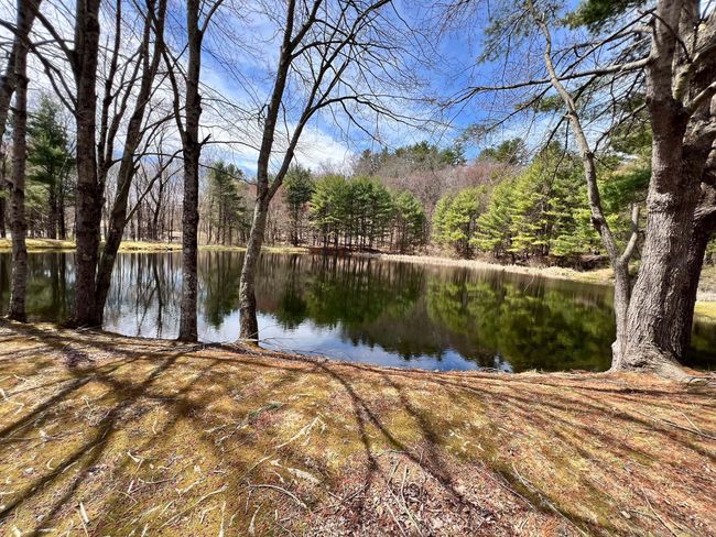 UNIT-42 - 25 Route 197, Home with 2 bedrooms, 1 bathrooms and 2 parking in Woodstock CT | Image 32