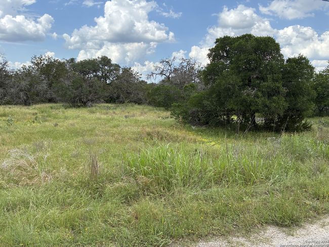 203 Bluff View Dr, Home with 0 bedrooms, 0 bathrooms and null parking in Spring Branch TX | Image 7