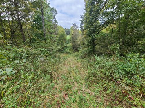 7450 State Route 356, New Marshfield, OH, 45766-9785 | Card Image