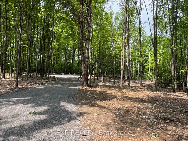 3191 Mountain View Rd, Home with 0 bedrooms, 0 bathrooms and null parking in Killaloe ON | Image 32