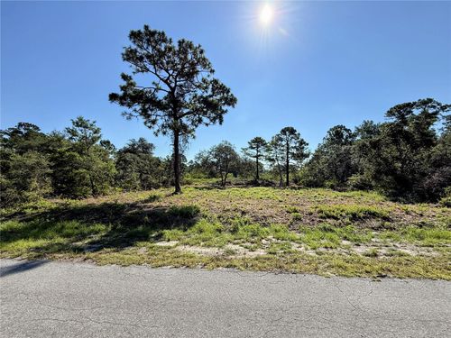 0 Malauka Pass Crse, OCKLAWAHA, FL, 32179 | Card Image