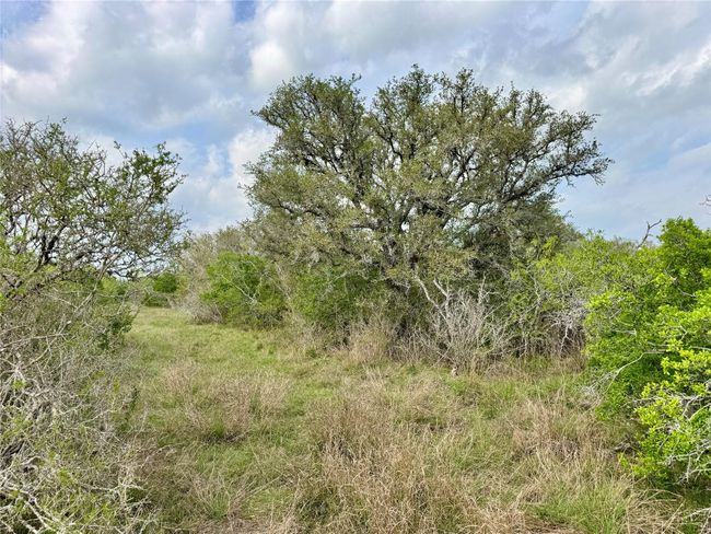 4025 Oil Field Rd, Home with 1 bedrooms, 1 bathrooms and null parking in Goliad TX | Image 10