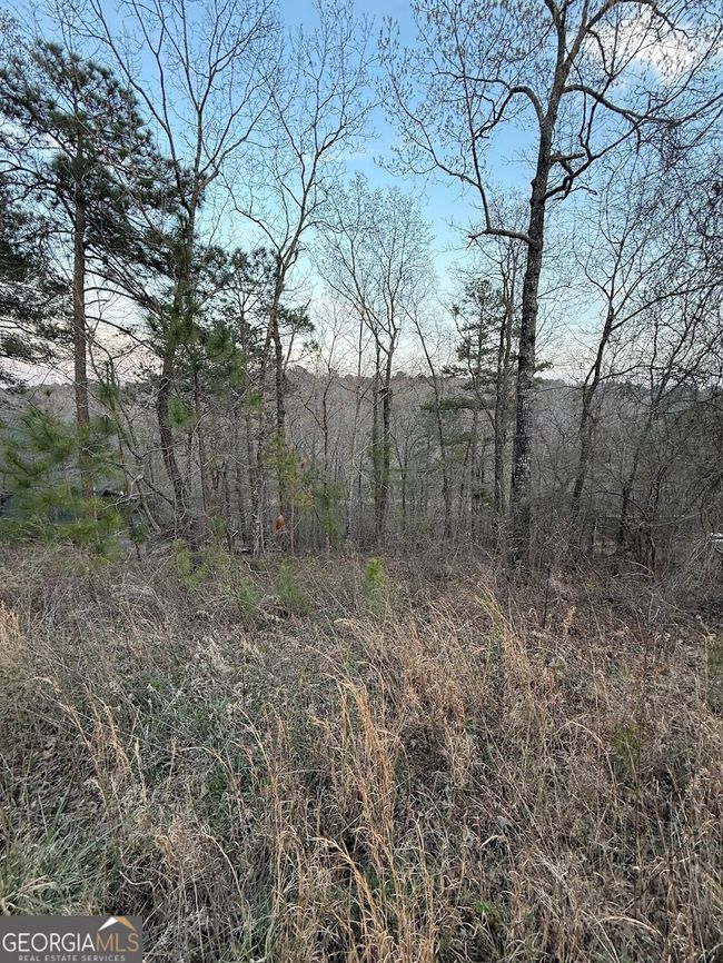 0 Luther Dr, Home with 0 bedrooms, 0 bathrooms and null parking in WEDOWEE AL | Image 10