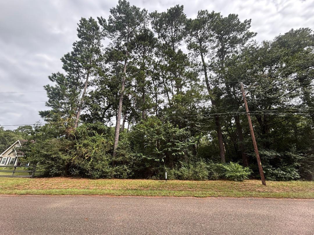 Land in Magnolia 3