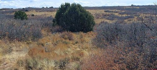 TBD Road C, Dove Creek, CO, 81324 | Card Image