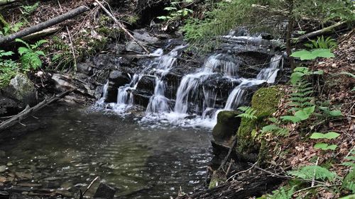 0 Center Pond Road, Newark, VT, 05871 | Card Image