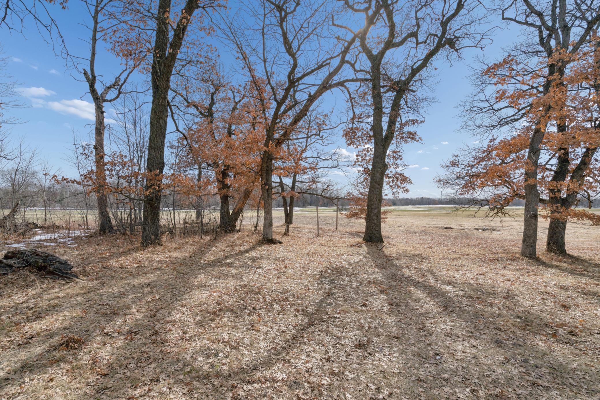 Land in Ham Lake 5