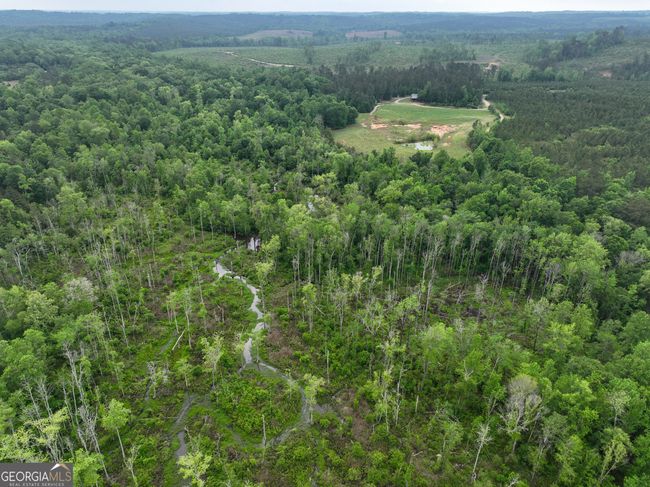 6620 Jr Sims Rd, Home with 0 bedrooms, 0 bathrooms and null parking in Irwinton GA | Image 51
