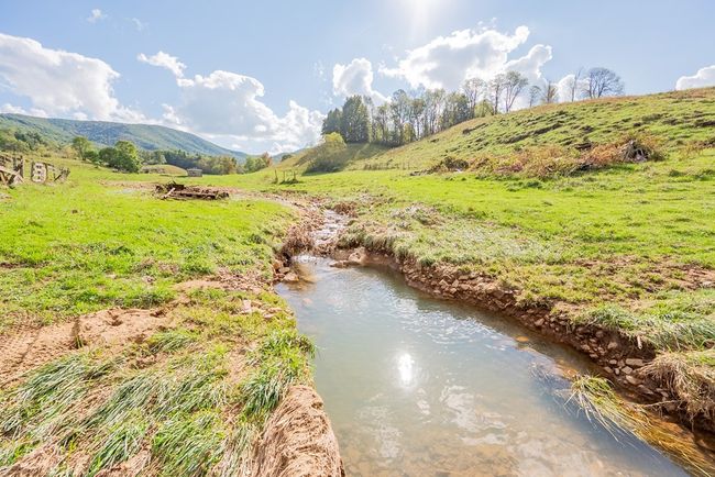 214 Comers Creek Rd, Home with 0 bedrooms, 0 bathrooms and null parking in Sugar Grove VA | Image 59