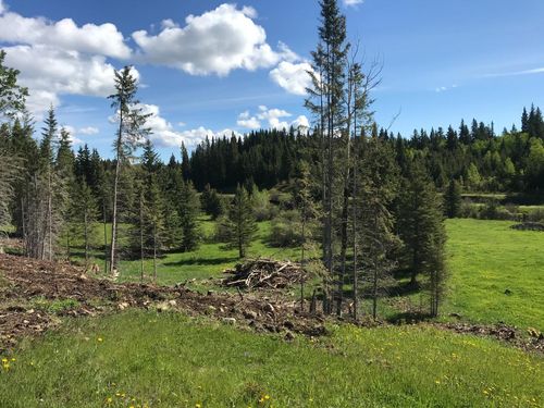 SE 40 acres on Range Road 70, Rural Bighorn No. 8, M.d. Of, AB, T4C2X7 | Card Image