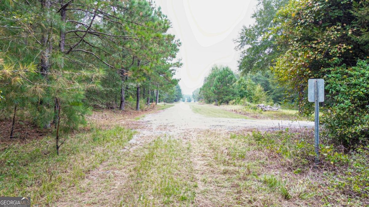 Land in Oglethorpe 5