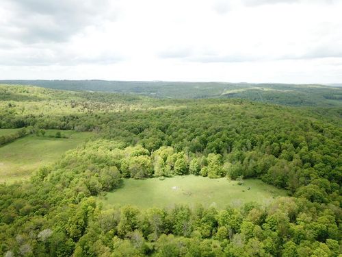 0 Dubois St, Livingston Manor, NY, 12758 | Card Image