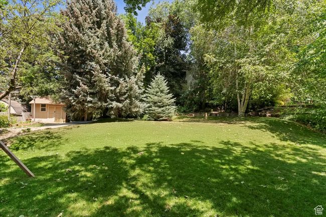 View of green lawn | Image 67