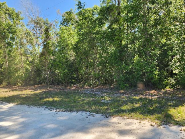 167 Ne 396 Th St, Home with 0 bedrooms, 0 bathrooms and null parking in Cross City FL | Image 7