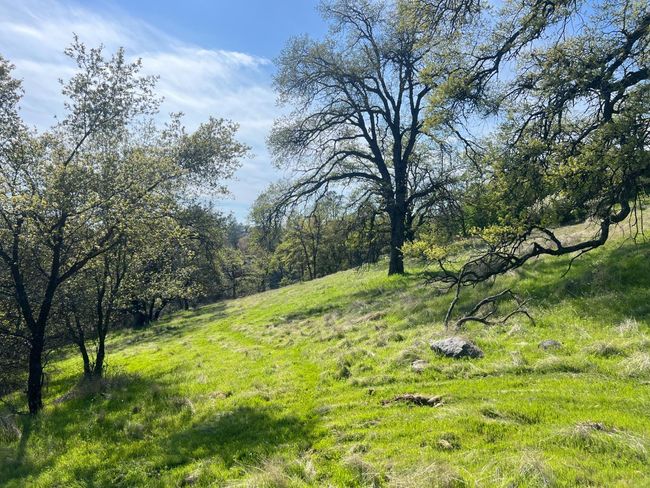 18907 Shake Ridge Rd, Home with 0 bedrooms, 0 bathrooms and null parking in Sutter Creek CA | Image 9