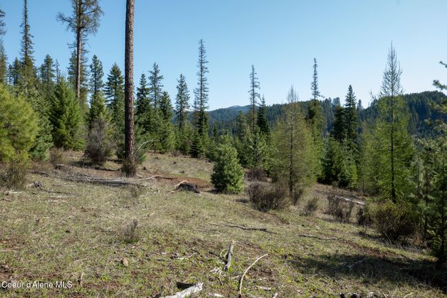 262 North Side Road, Home with 0 bedrooms, 0 bathrooms and null parking in Calder ID | Image 62