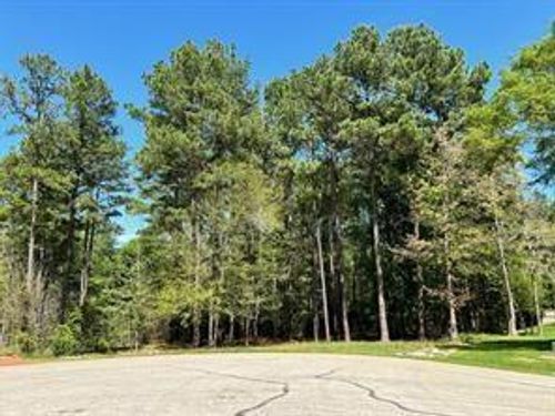 1513 Citron Ct, Willis, TX, 77378-3715 | Card Image