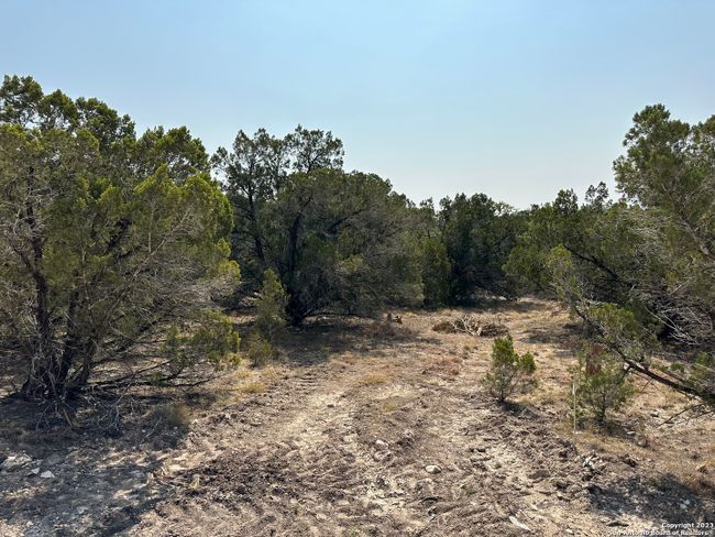 LOT 7 Sendera Valley Drive, Home with 0 bedrooms, 0 bathrooms and null parking in Canyon Lake TX | Image 3