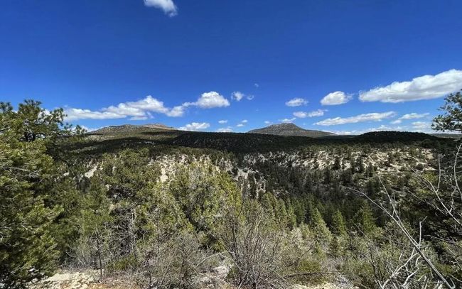 4 | Image 4