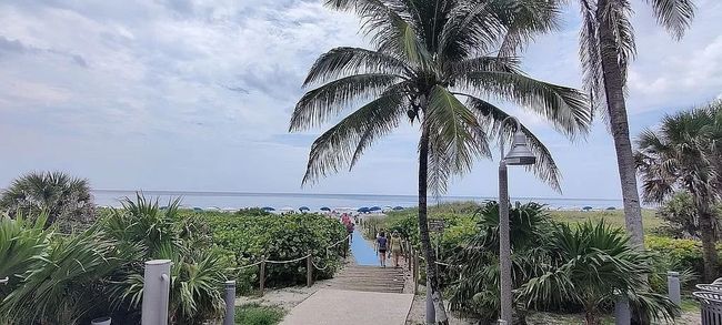 APT-3F - 1850 Bay Rd, House attached with 2 bedrooms, 2 bathrooms and null parking in Vero Beach FL | Image 8