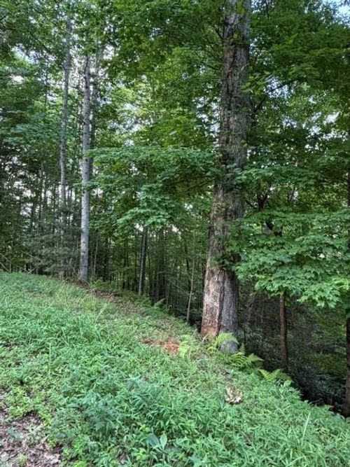Lot 59 Quiet Mountain Trail, Murphy, NC, 28906 | Card Image