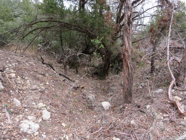 LOT 304-306 Deer Trl, Home with 0 bedrooms, 0 bathrooms and null parking in Pipe Creek TX | Image 8
