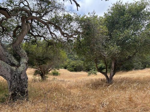 3230 Hillman Ln, Royal Oaks, CA, 95076-9026 | Card Image