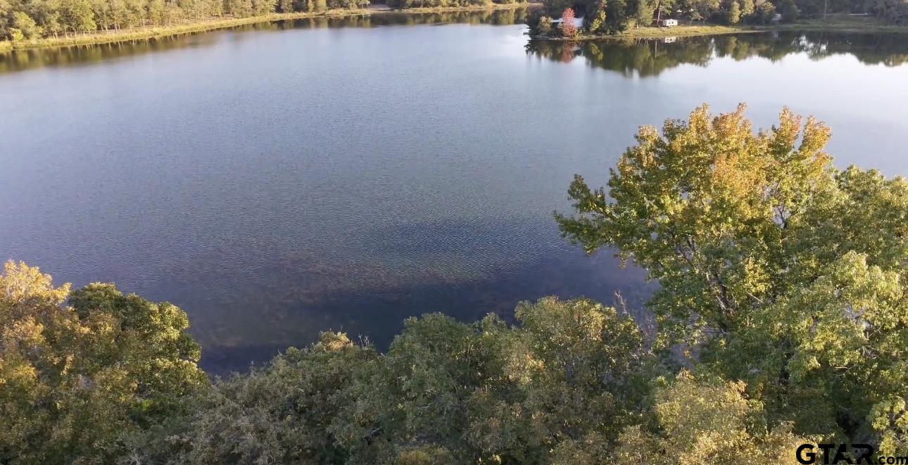 Land in Mineola 5