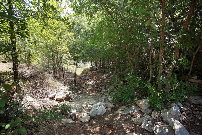 View of wooded area | Image 22
