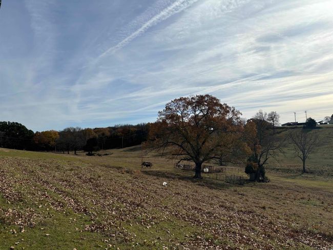 00 Cadron Gap Rd, Home with 0 bedrooms, 0 bathrooms and null parking in Conway AR | Image 19
