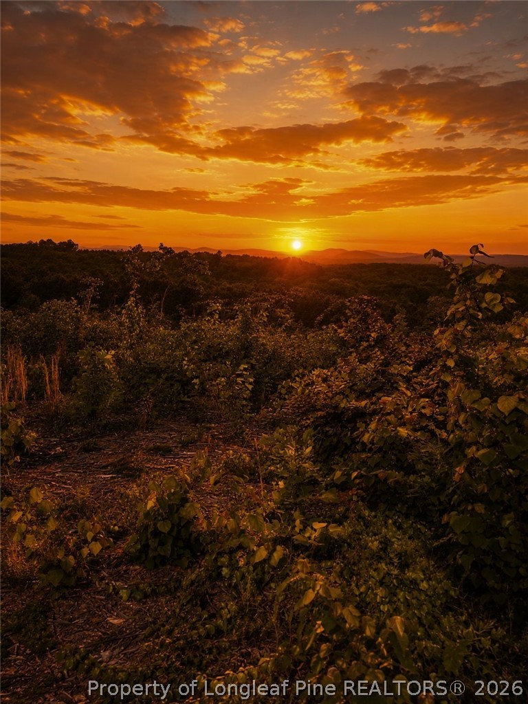 Land in Asheboro 3