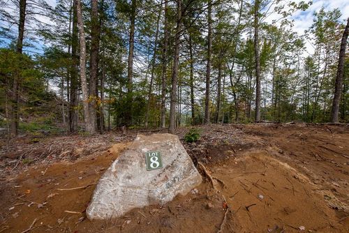 12-12-10-8 Jacob Hall Farm Road, Rumney, NH, 03266 | Card Image