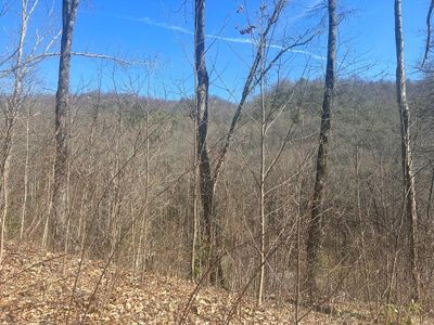 Lot 94 Towalgia Dr, Home with 0 bedrooms, 0 bathrooms and null parking in Bryson City NC | Image 1