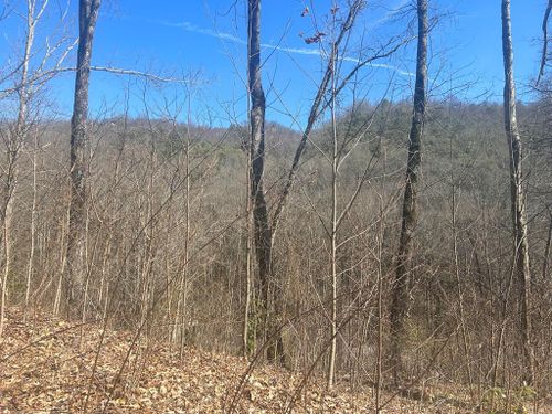 Lot 94 Towalgia Dr, Bryson City, NC, 28713 | Card Image