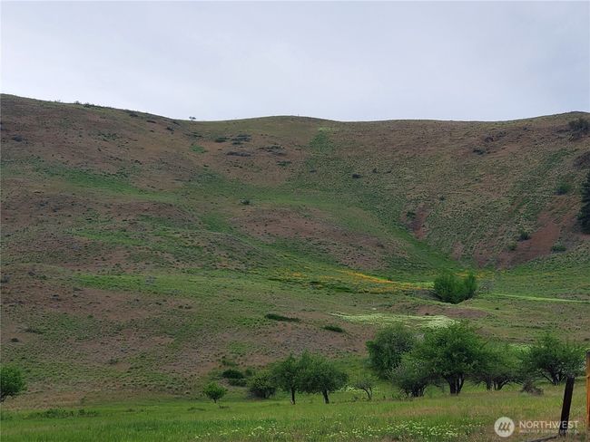 Wildflowers every Spring are jewel-like color nestled on surrounding hillsides. | Image 11
