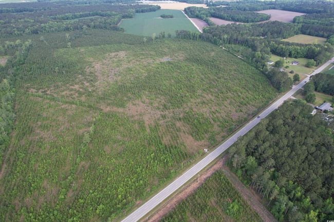 20 Highway 260, Home with 0 bedrooms, 0 bathrooms and null parking in Manning SC | Image 9