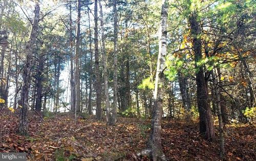 lot-31-0 Fairway Dr, BASYE, VA, 22810 | Card Image