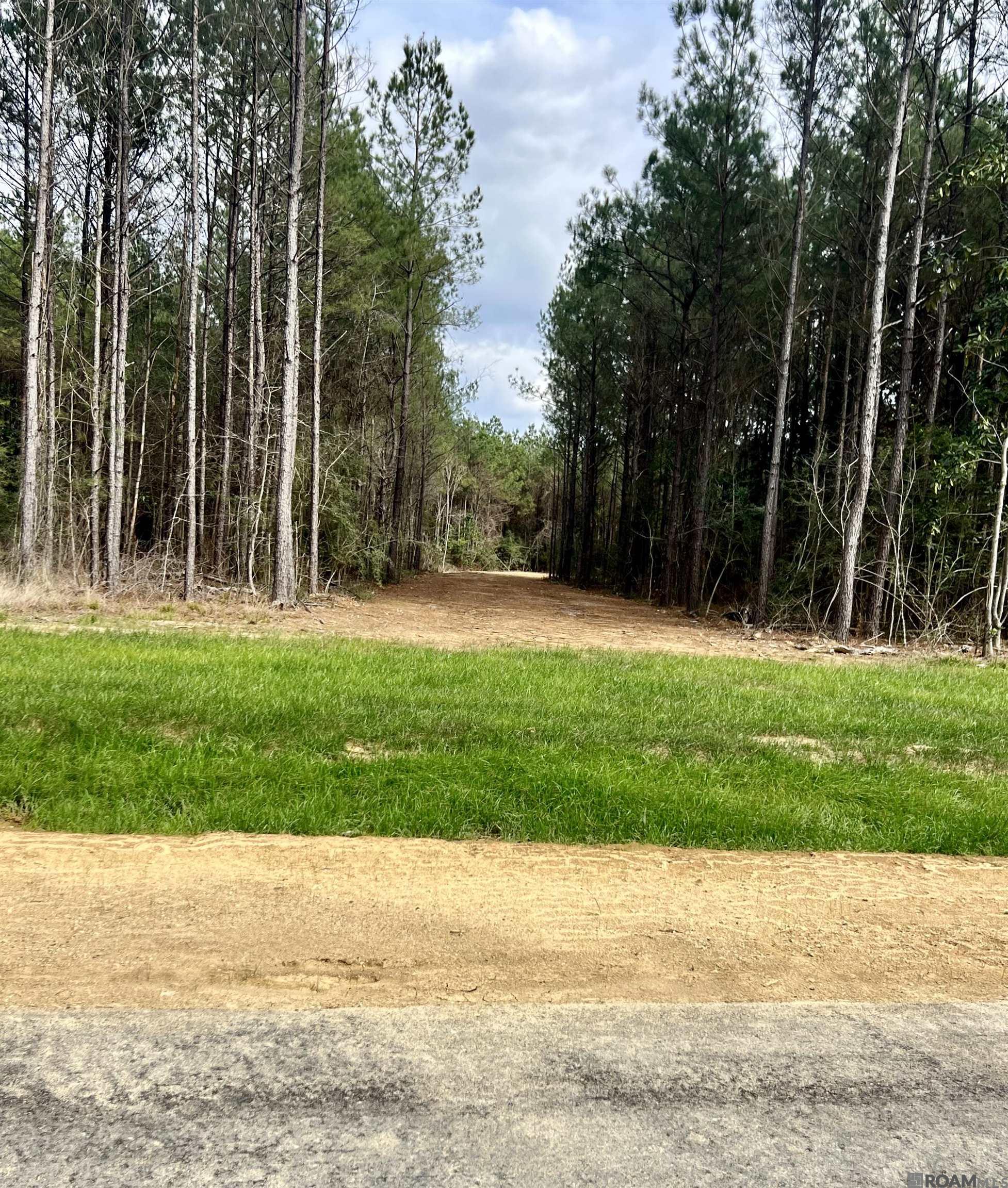 Land in Livingston 2