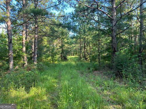 73--0 53 Highway, Clayton, AL, 36016 | Card Image