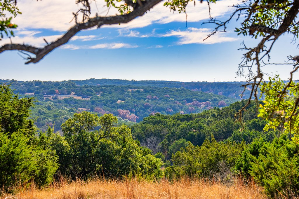 Land in Kerrville 4