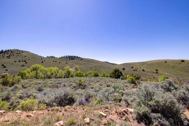 View of mountain backdrop | Image 12