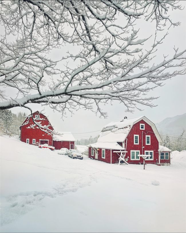 Lots of snow! | Image 7