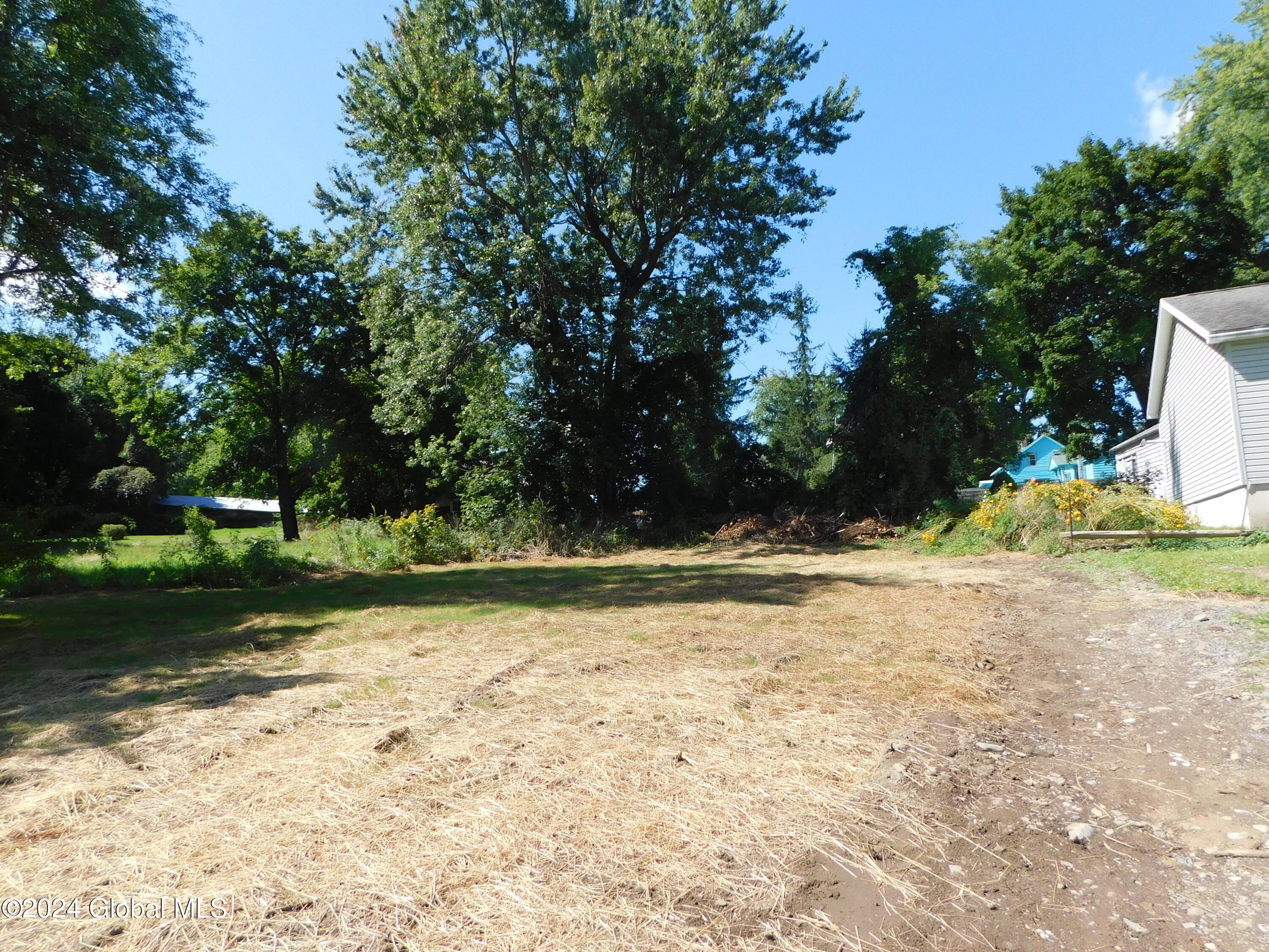 Elm St, Delanson, NY 12053
